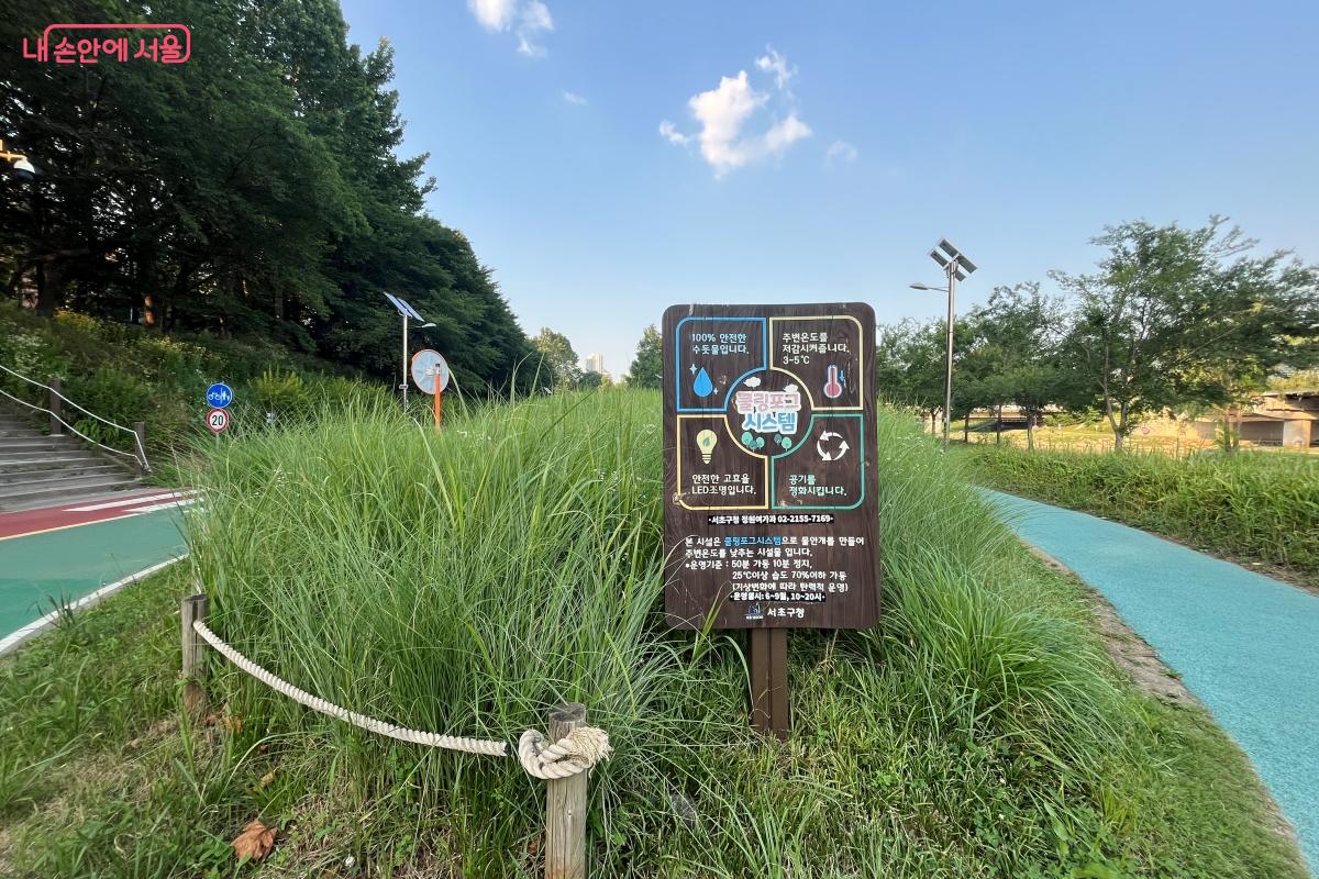 한여름에도 시원한 휴식처가 되어 주고 있다. ©김연희