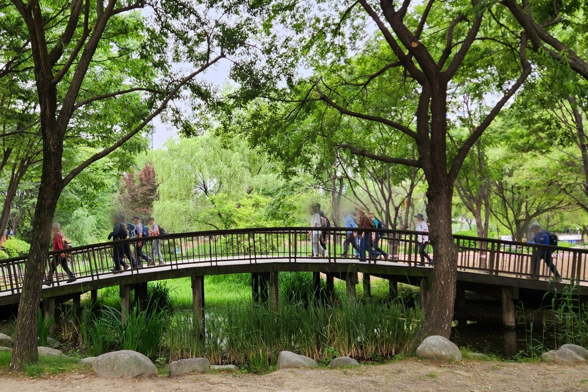 언제 방문해도 좋은 도심의 오아시스! 서울창포원&평화문화진지