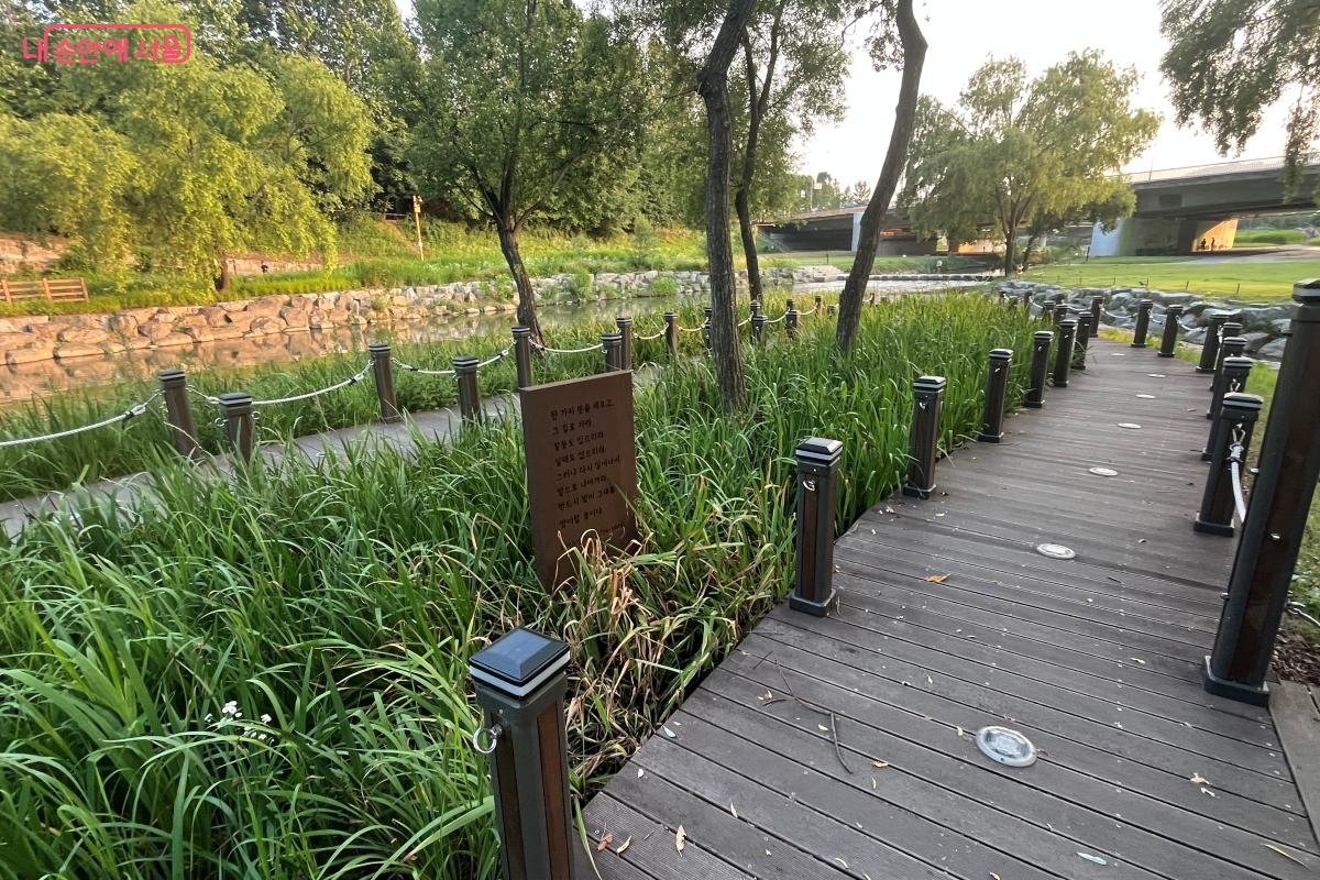 자연과 사색을 통해 나, 너, 우리를 돌아보고 희망을 얻을 수 있는 공간 ©김연희