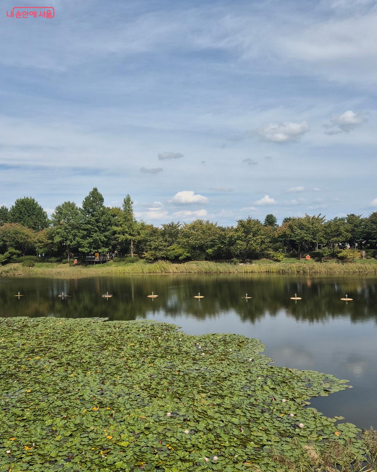 소음에 반응하는 소리분수 모습 &copy;송수연