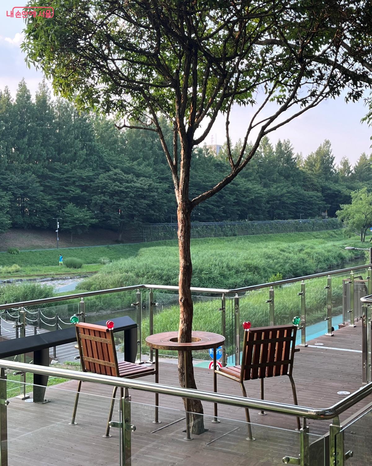 민주주의의 상징인 하벨 벤치가 최근 설치되었다. ©김연희