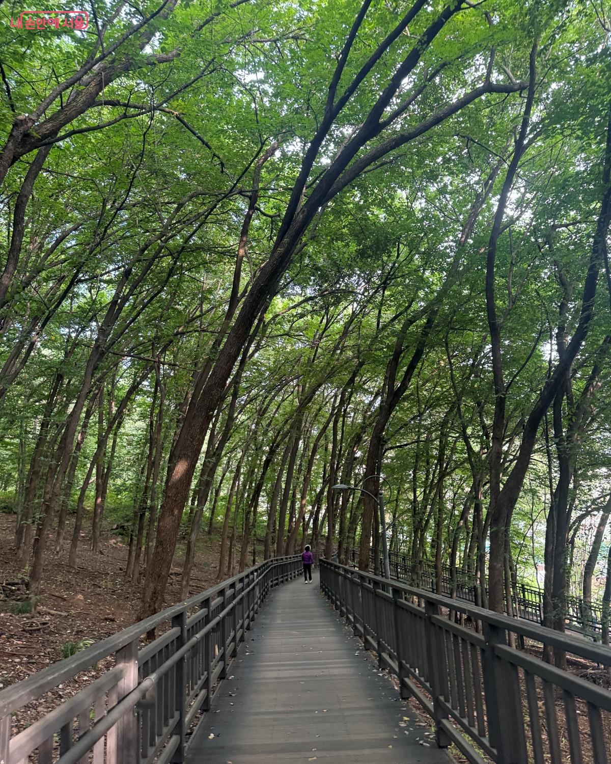 신정산 둘레길도 걸으며 나만의 힐링 코스를 짜보는 것은 어떨까? &copy;안희진