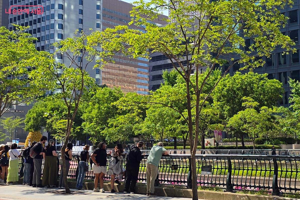 외국인들이 청계천 위에서 바라보고 있다. ©김윤경