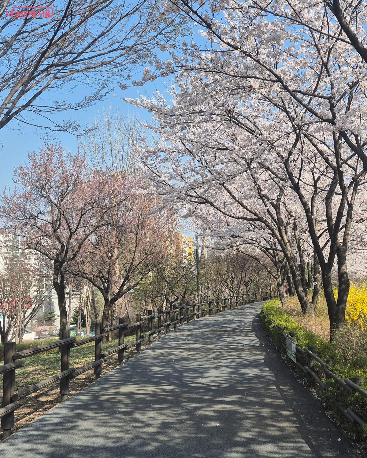 나무로 구분된 산책로 &copy;송수연