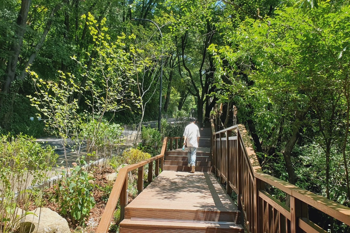차량, 자전거, 보행자 뒤섞였던 남산 남측순환로, 보행데크길로 안전하게! 