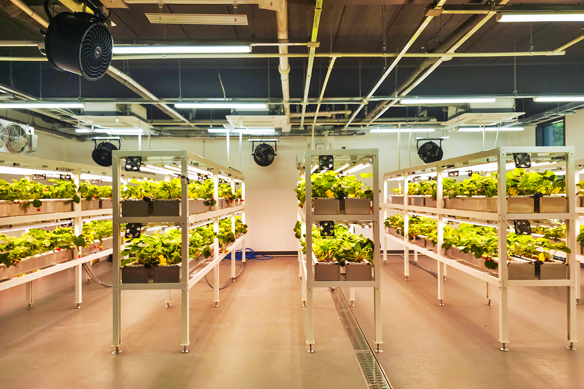 자판기에서 채소를 산다고? '강북구 스마트팜센터'에서 만난 농업혁신