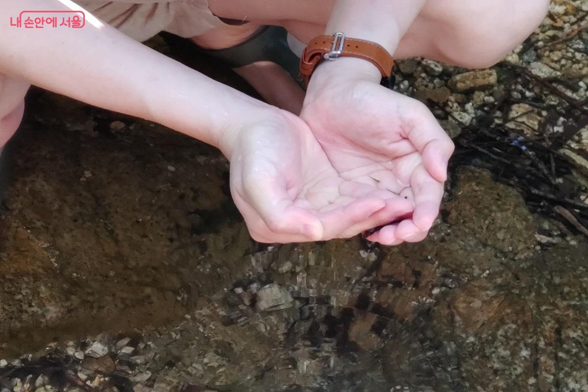 물고기가 살고 있는 맑은 벽운계곡 ©김병규 