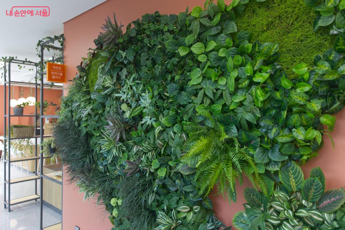 1층에는 직판장과 쉼터가 조성되어 있어 누구나 운영시간 내 센터에 방문하여 휴식을 취할 수 있다