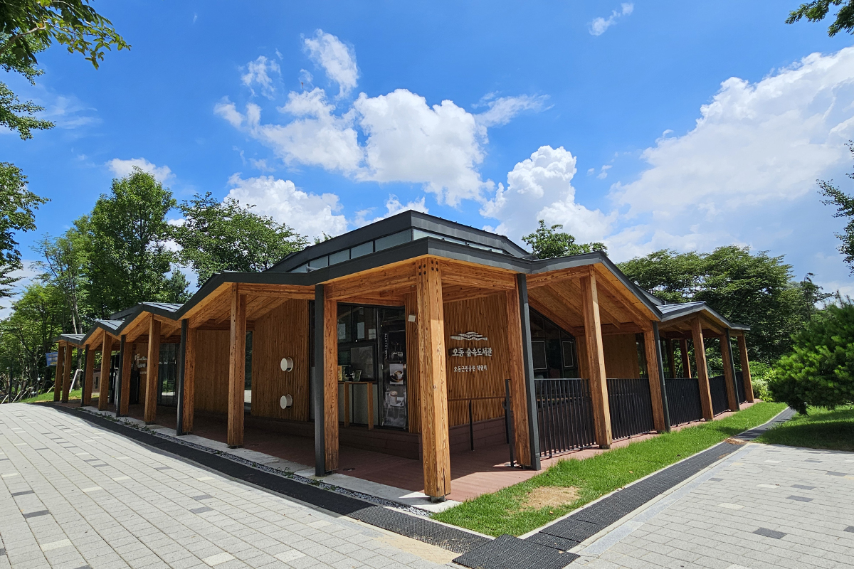 숲속도서관서 독서 후 물놀이터 직행! 여름 감성 가득한 이곳은?