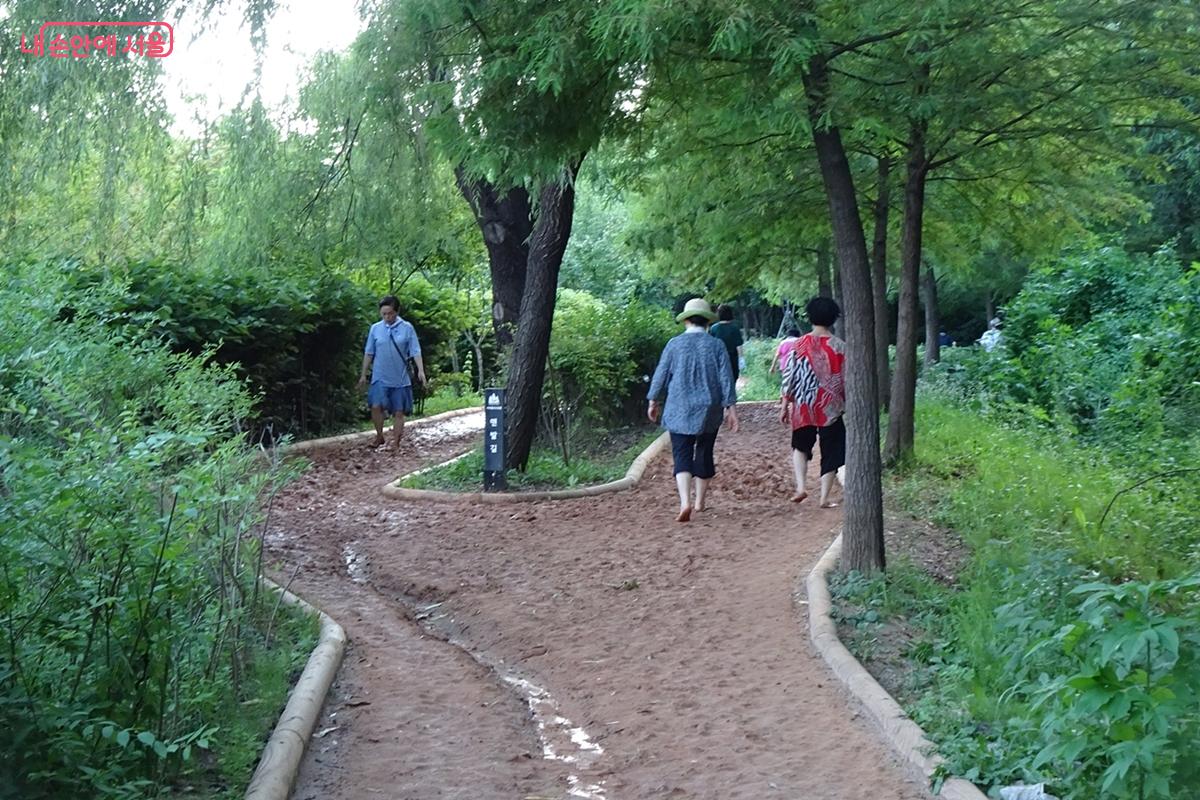 능골산 맨발 걷기 황톳길 ©김종성