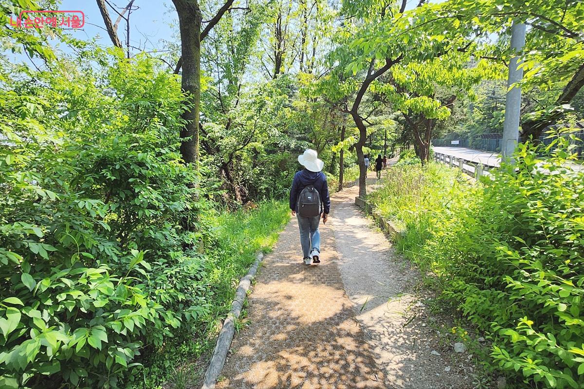 서늘한 공기를 품고 있는 인왕산 둘레길 ⓒ박은영
