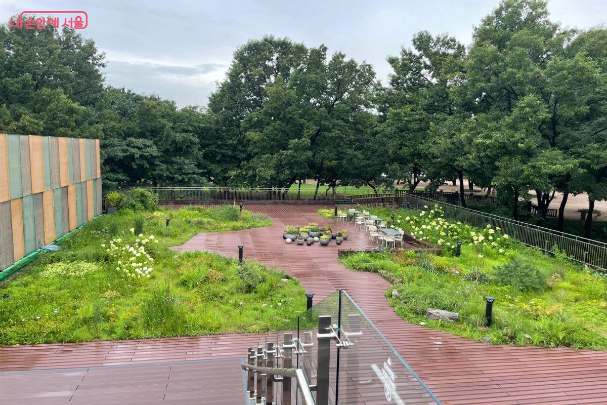 2층 루프탑에서 내려다 본 입구쪽의 모습 ⓒ노윤지