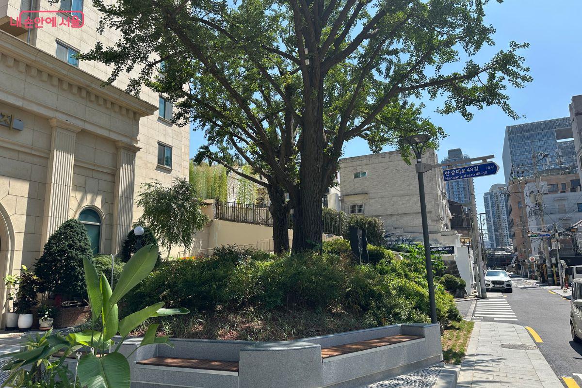 &lsquo;용리단길&rsquo;이 보행자 중심 거리로 새롭게 단장됐다. &copy;김재형