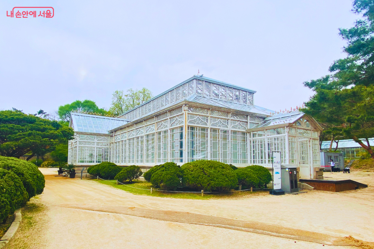 1909년 건립, 복원 후 국내 식물 전시 중인 창경궁 대온실 ©양정화