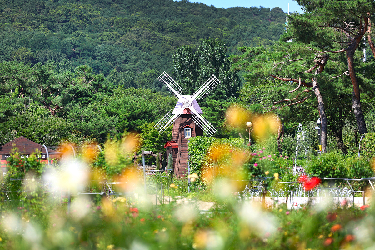 이열치열! 여름꽃 만개한 서울대공원에서 산책 한 바퀴