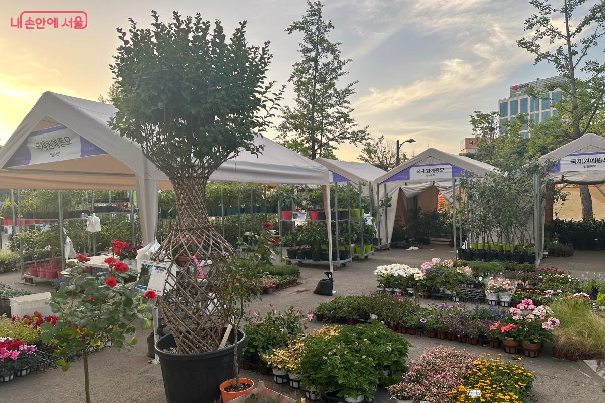 &lsquo;서울국제정원박람회&rsquo;는 4가지 정원으로 구성되어 있다. &copy;강다영