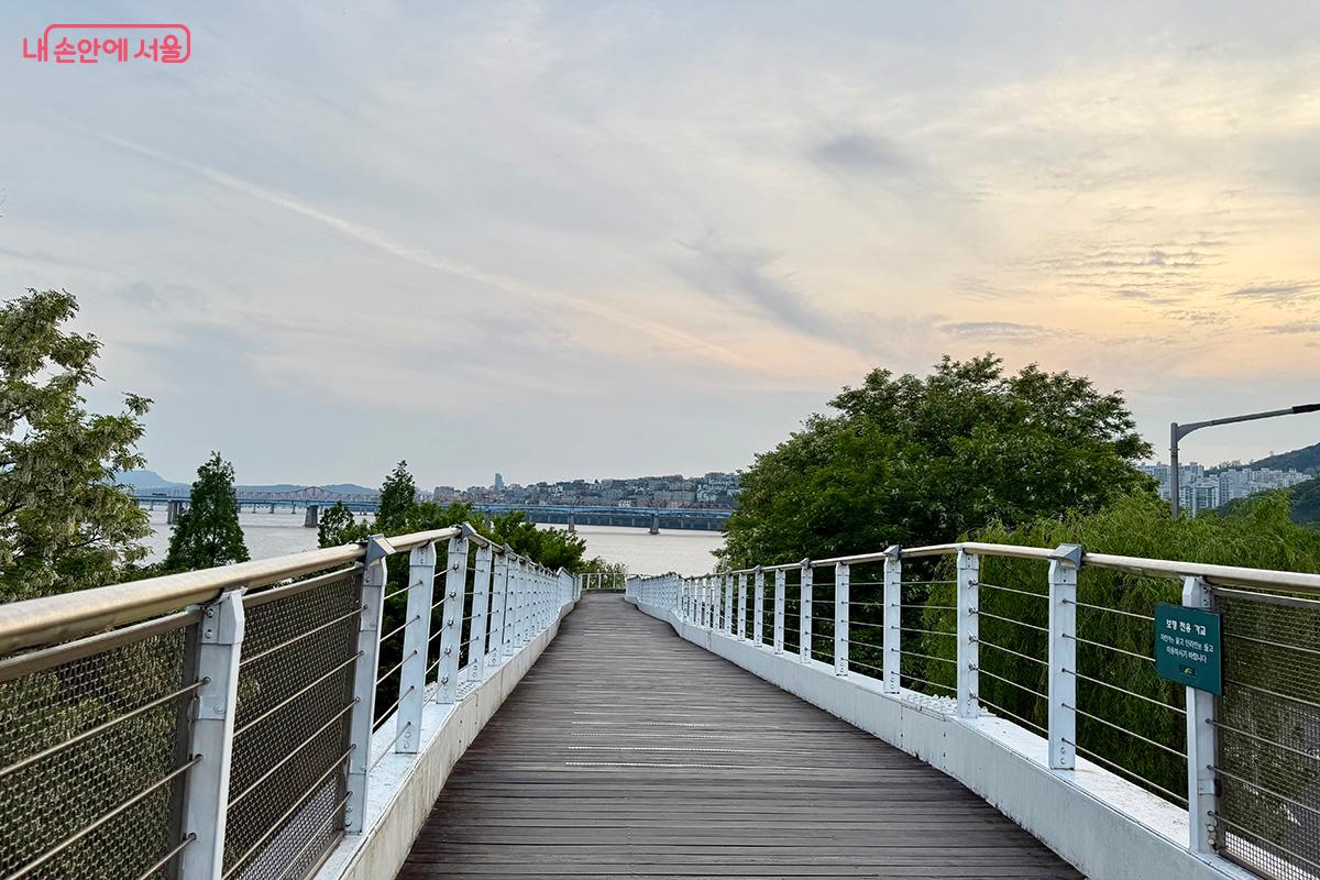 서울숲에서 바람의 언덕 보행전망교를 따라 내려가면 중랑천 놀빛광장을 만날 수 있다. ©김미정