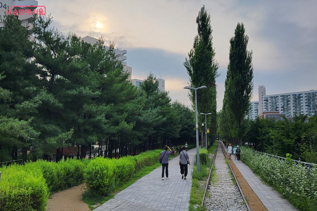 과기대 입구 철교에서 바라본 풍경, 철길, 자전거길, 소나무숲을 즐길 수 있다. ©권수진