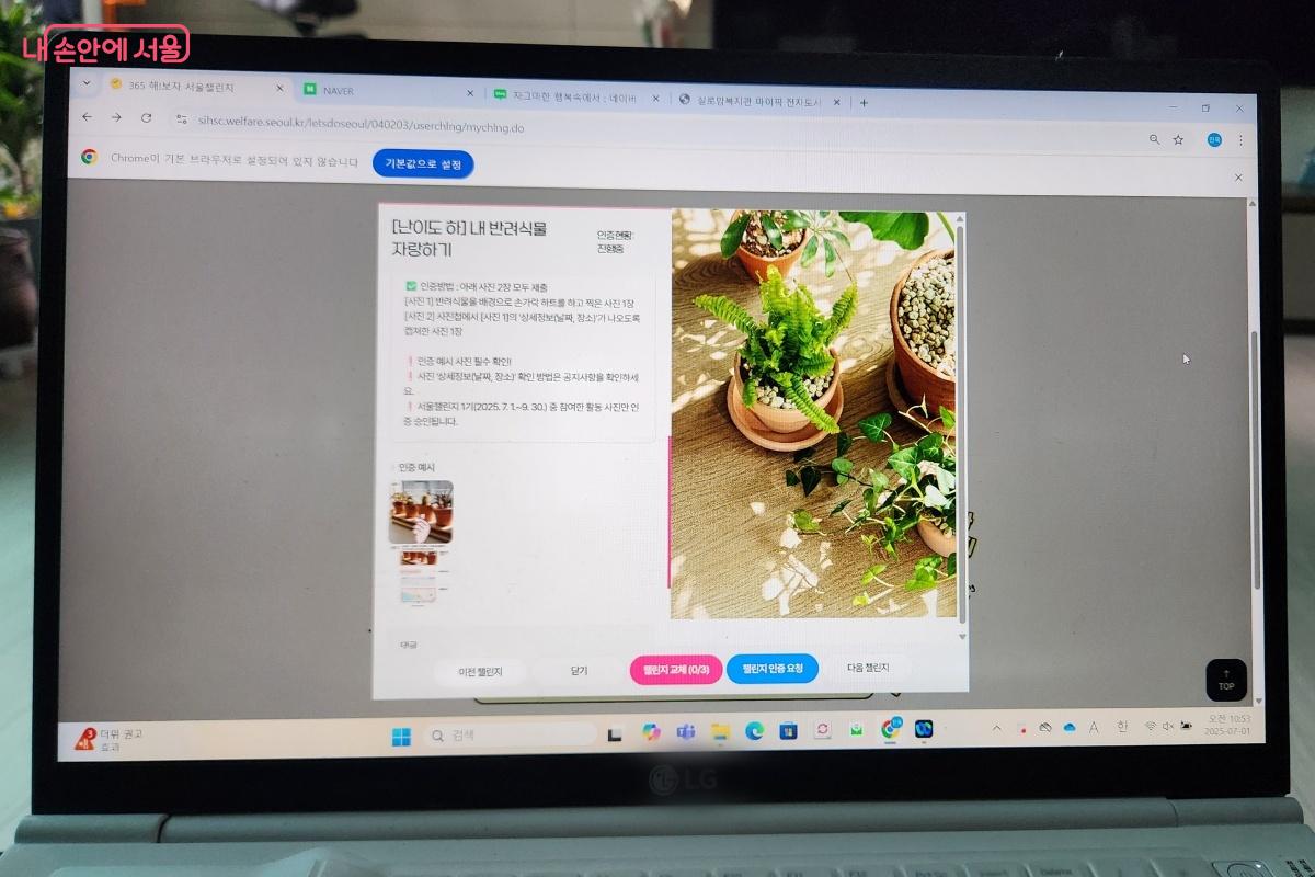 처음 챌린지는 ‘내 반려식물 자랑하기’를 인증 신청했다. ©김미선