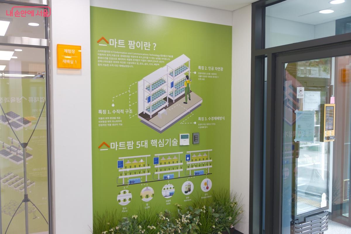 수직적 구조, 인공 자연광, 수경재배방식 등이 대표적인 스마트팜 시스템에 대한 설명이 부착 되어 있다