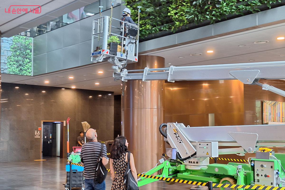 서울림의 청소 작업을 신기한 듯 바라보는 외국인 관광객들의 모습 &copy;정향선