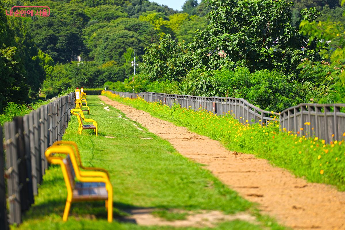 곳곳에 여름꽃이 만개해 기분까지 생쾌하게 만들어 준다. ©김주연