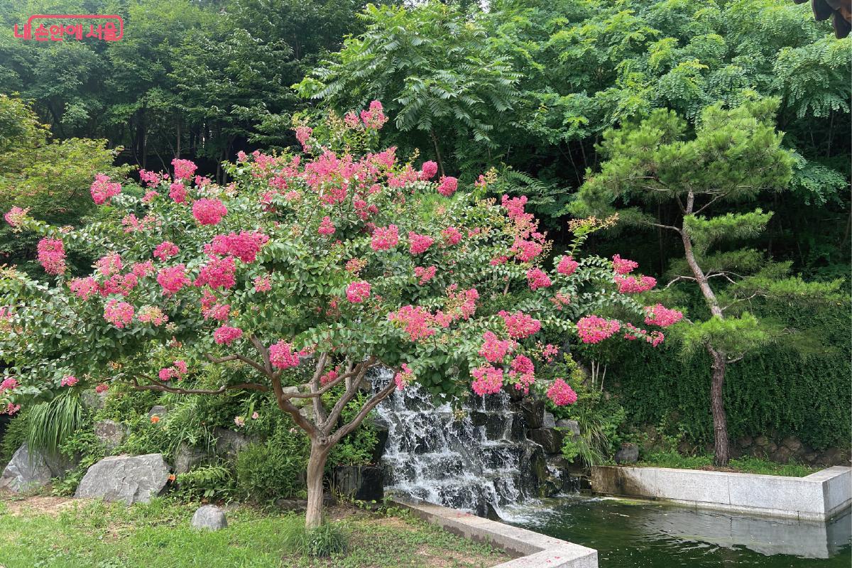 보기만 해도 시원해보이는 폭포와 옆의 꽃 나무가 있는 청운문학도서관이에요. 도서관 내부에서도 볼 수 있는 폭포는 시원함도 느껴졌어요. 물 소리와 자연의 소리를 들으며 책을 읽는건 정말 즐거웠어요.