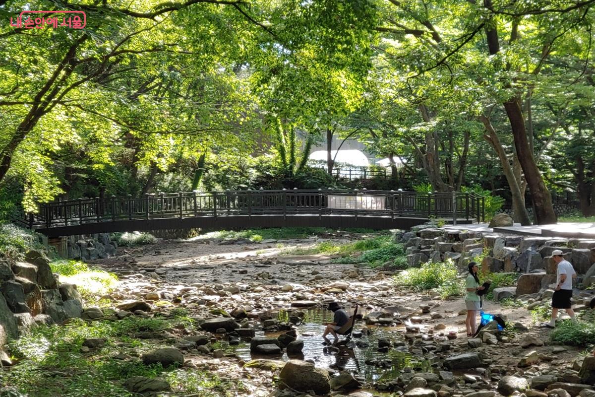 여름 녹음이 우거진 수락산 벽운계곡 ©김병규 