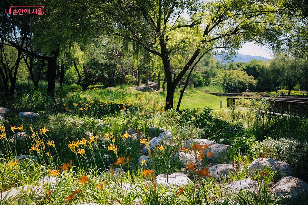 서울의 복잡한 빌딩 숲을 뒤로 하고 마주한 보석 같은 풍광이다. ©김아름