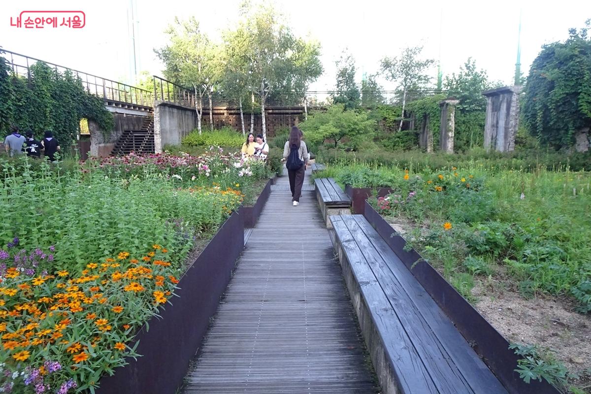 호수공원 안 예쁘게 꾸며 놓은 정원 ©김종성