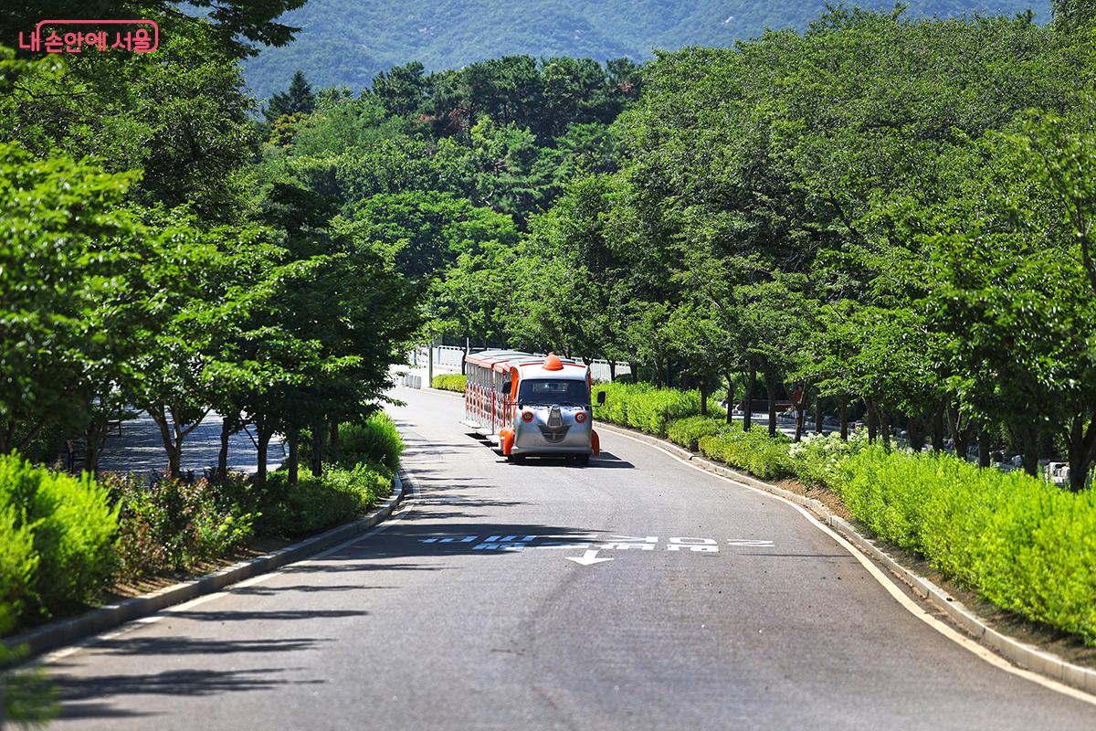 푸른 녹음 속 서울대공원으로 향하는 코끼리 열차 ©김주연