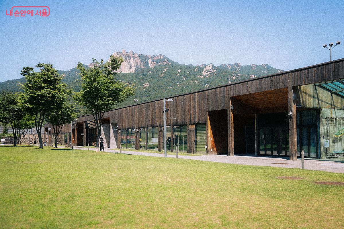 서울창포원 뒤편엔 공간 재생 사업으로 조성된 문화창작공간 '평화문화진지'가 있다. 중앙의 평화광장에서는 대전차방호시설, 베를린 장벽 일부를 볼 수 있다. ©김아름