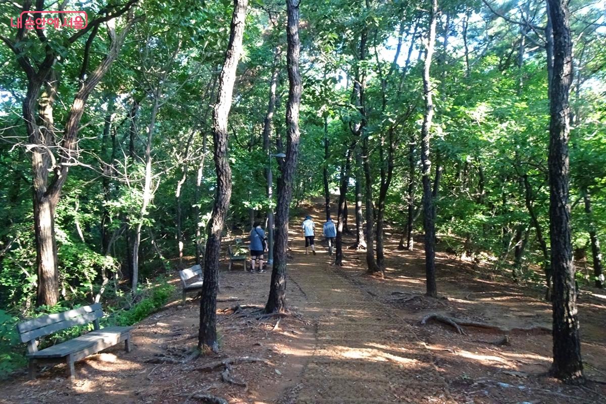 몬드리안 정원에서 바로 이어지는 능골산 산책로 ©김종성