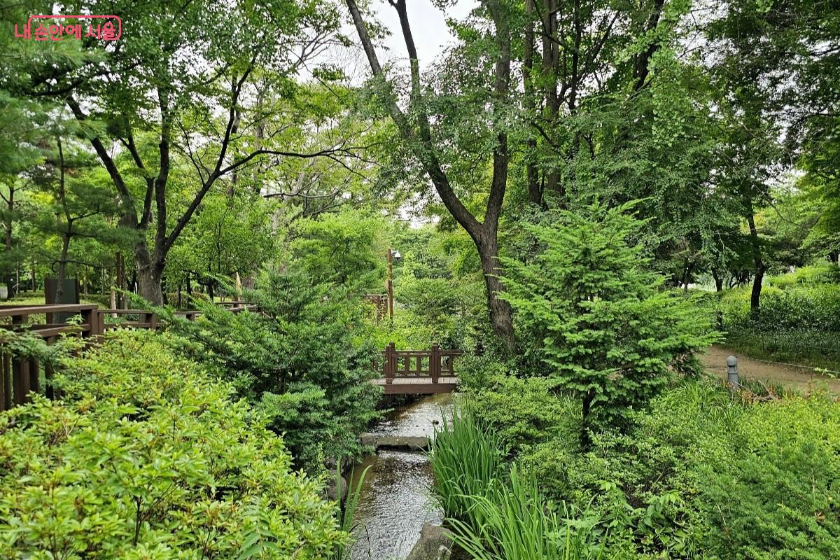 장충단에서 이간수문으로 흐르는 물길, 남소문동천 &copy;최정윤