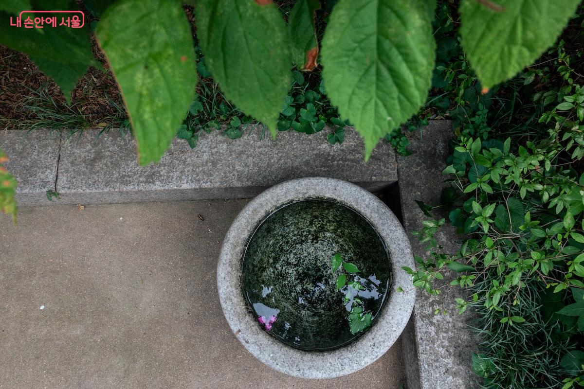 깨끗한 물확에는 또 다른 자연이 담겨 있다. &copy;이진형