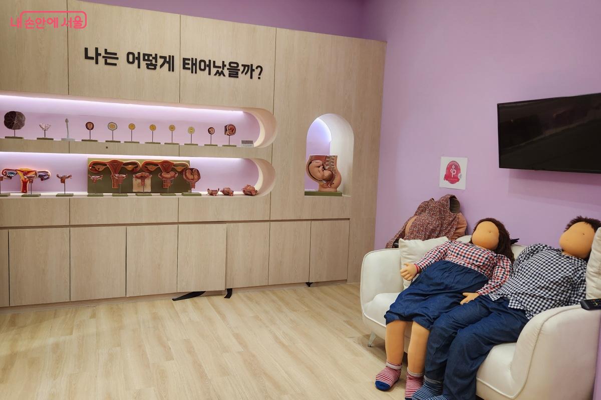 신비한 보라방에서는 탄생을 확인하고, 임산부 체험도 가능하다. ©김미선