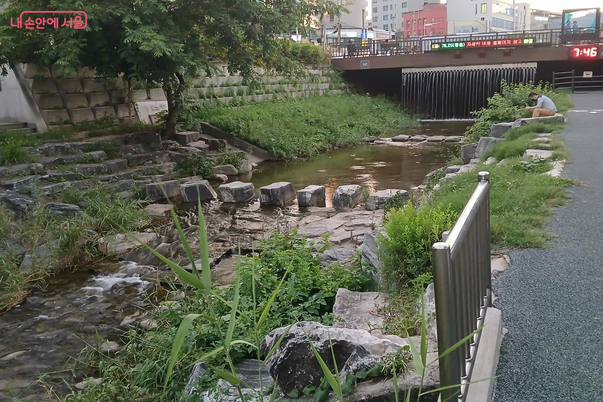 조용한 도심 수변 감성 공간 성북천 &copy;최은영 