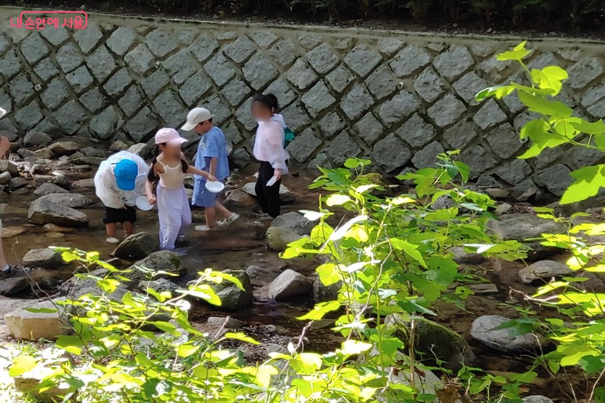 벽운계곡에서 물놀이 중인 아이들 ©김병규 