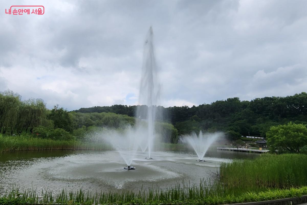 월영지의 아름다운 경관과 분수를 보면서 시원함을 느낀다. ©김미선