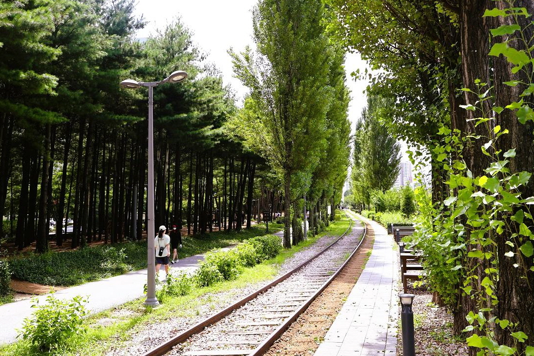 무더위 싹 잊게 해주는 경춘선숲길 당일치기로 '숲캉스' 떠나자