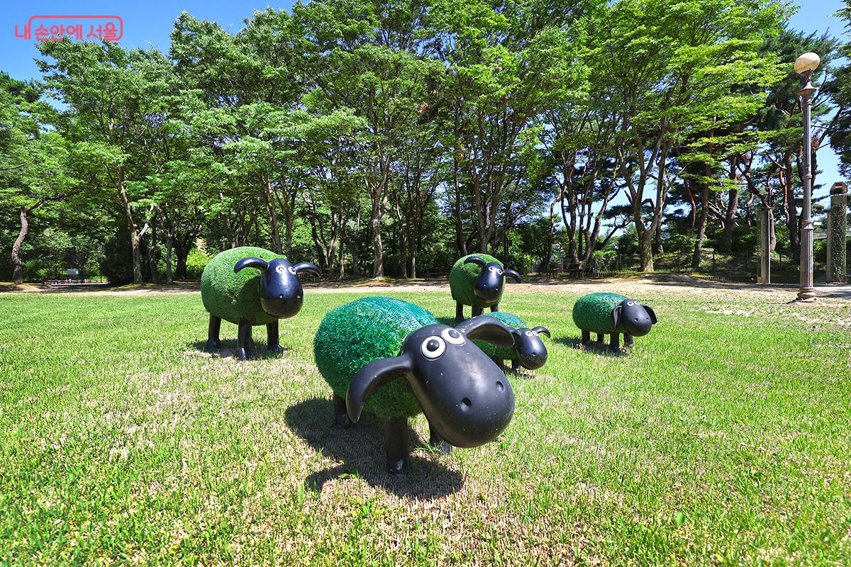 휴 정원 잔디밭에 설치 된 양떼 조형물 ©김주연