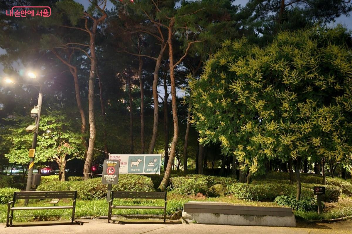 늦은 시간에도 많은 시민들이 찾는 안전하고 쾌적한 장충단공원 &copy;최정윤