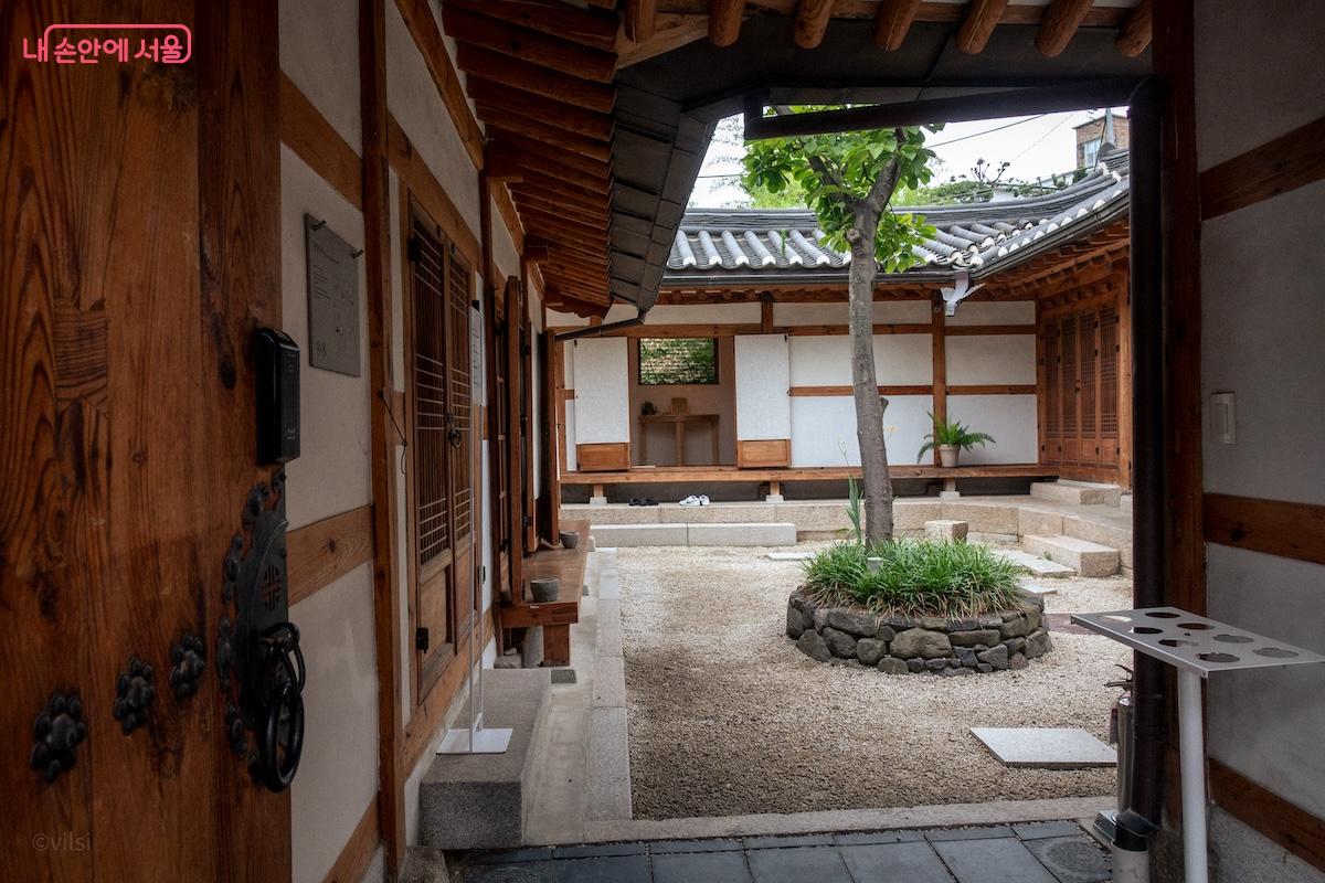 배렴가옥에 입장하면 가장 먼저 목련나무가 반겨준다. &copy;이진형