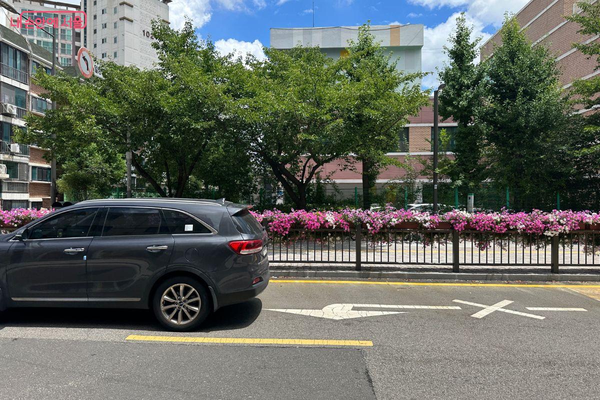 초등학생들의 안전을 위해 높은 화단을 없애고 아담한 펜스로 바꿨다. ©김재형