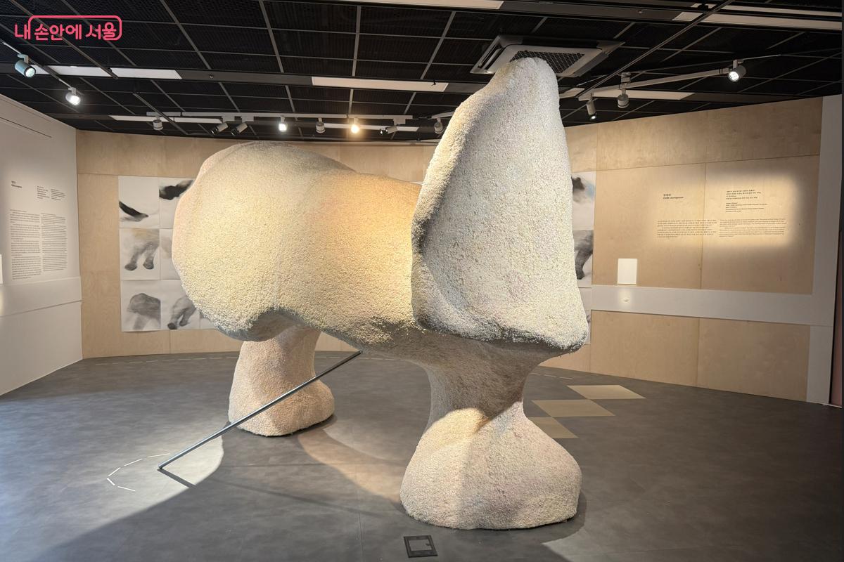 엄정순 작가의 &lsquo;코 없는 코끼리&rsquo; &copy;이하늘