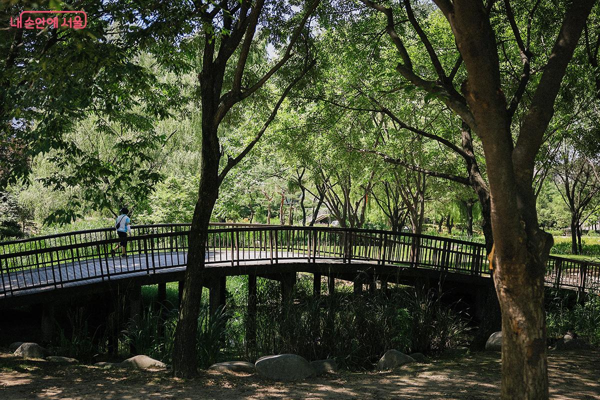 관찰 데크를 따라 걸으며 수생식물과 습지 생물 등 습지원의 생태를 관찰할 수 있다. ©김아름