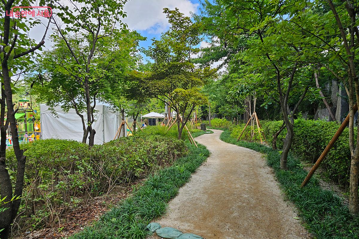 울창한 나무 사이로 부드럽게 이어지는 맨발길은, 자연과 가장 가까운 방식으로 교감할 수 있는 치유의 산책로다. ©정향선