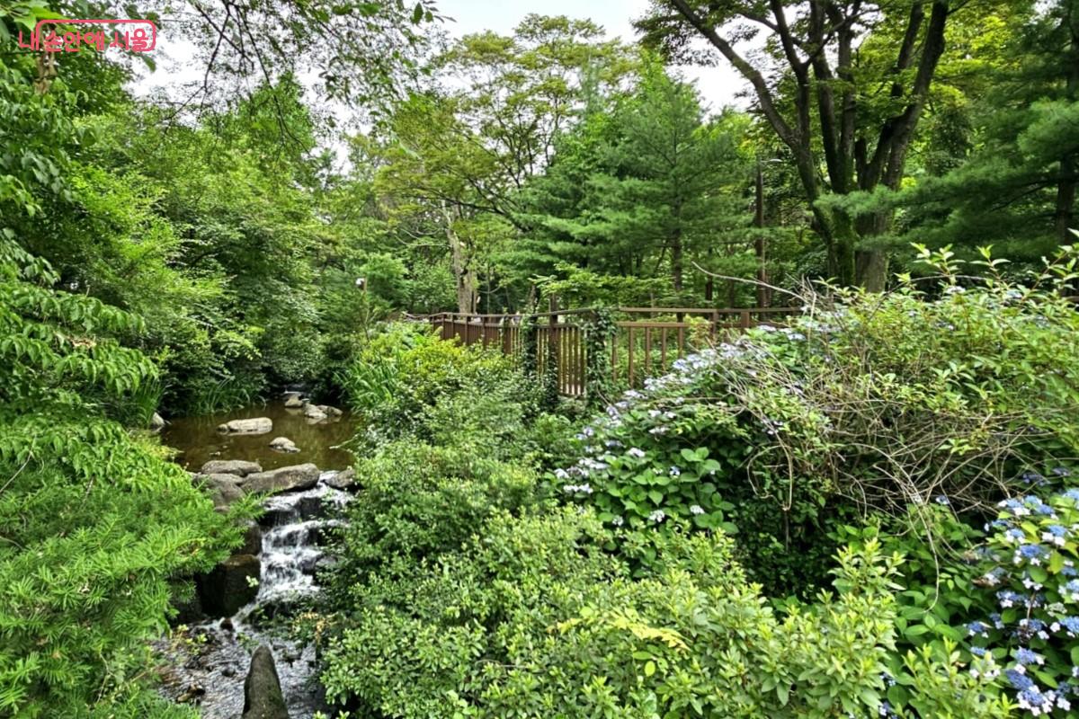 남소문동천 주변으로 도심 속 숲이 우거져 있다. &copy;최정윤