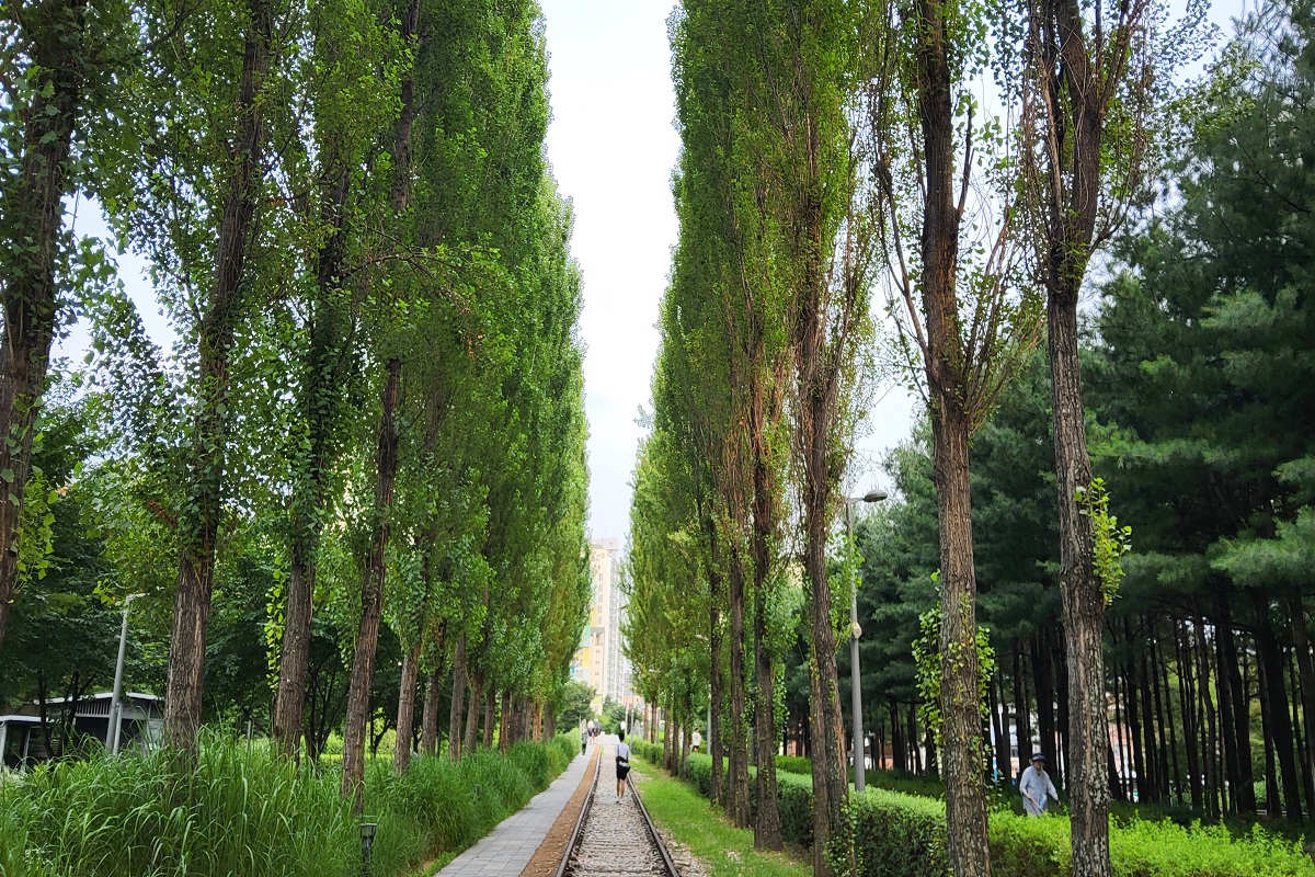 기차가 멈춘 그 길에서 여름이 시작된다! 경춘선숲길  여름 여행