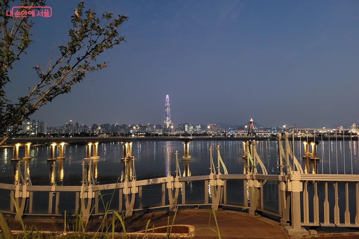 광진교에서 본 잠실 야경 ©박미선